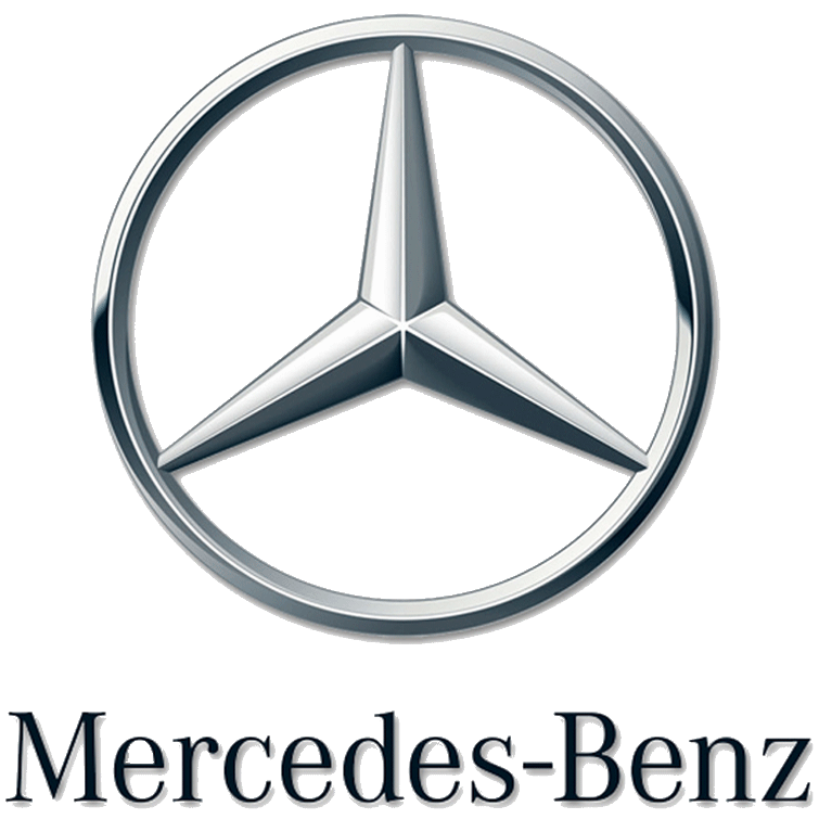 MERCEDES BİNEK GRUBU